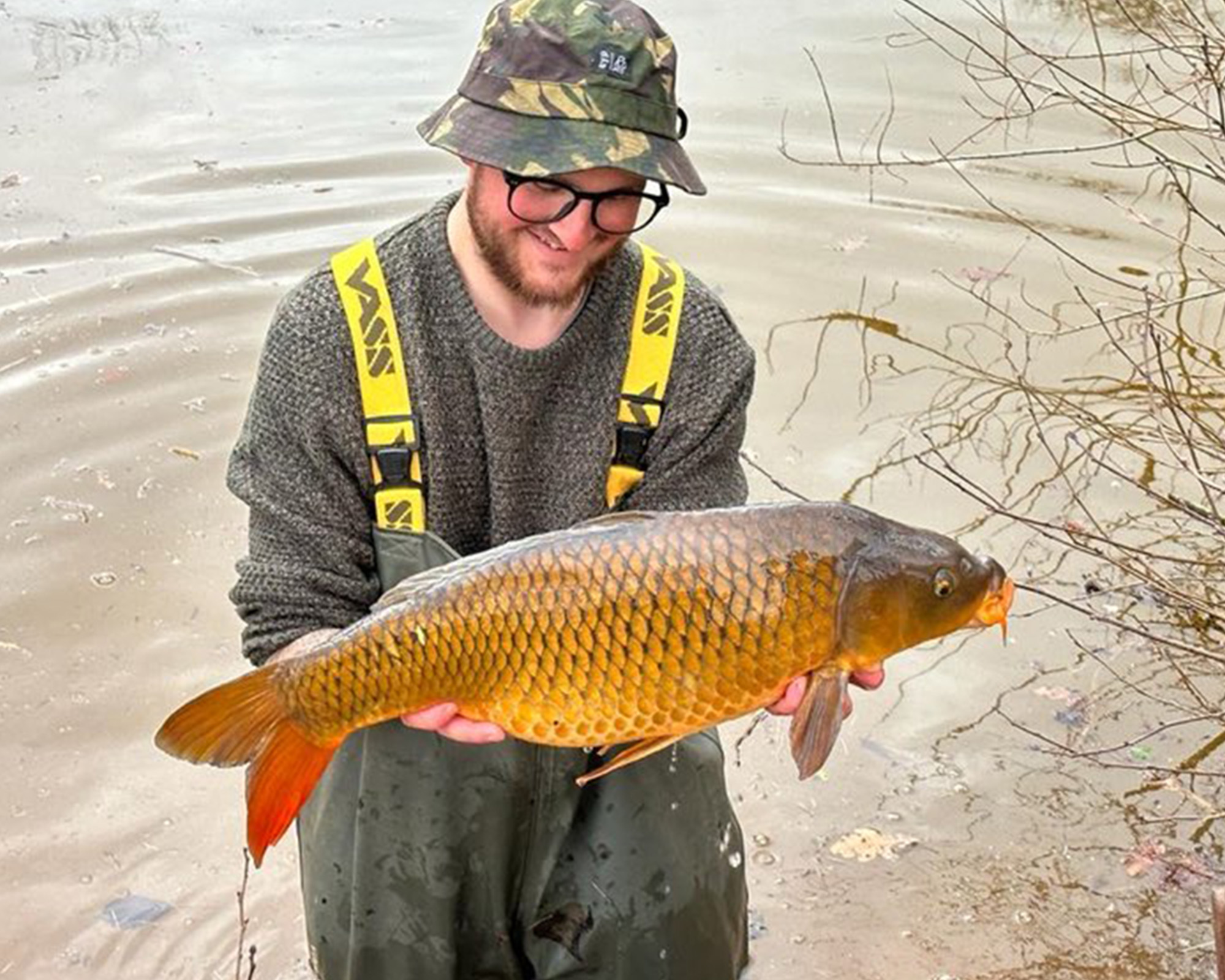 Large Common Carp